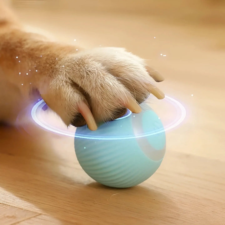 Pelota Automatica Para Mascotas en amazon