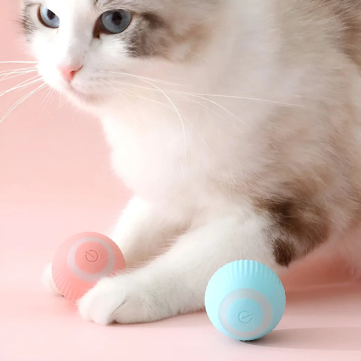 Pelota Automatica Para Mascotas en tierragro